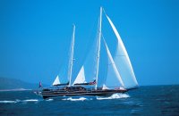cobra 28 sailboat